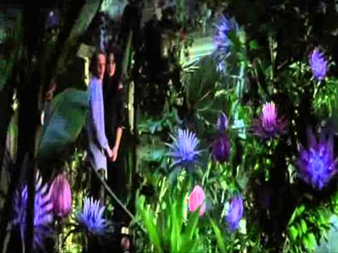 Видео: Клэри и Джейс - Зачем