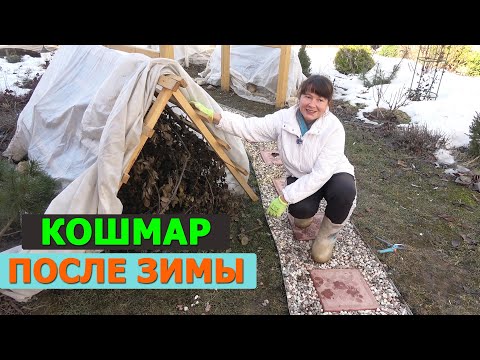 Видео: УЖАС САДОВОДА. Розы черные! Лаванда сухая! Гортензии потрескались!