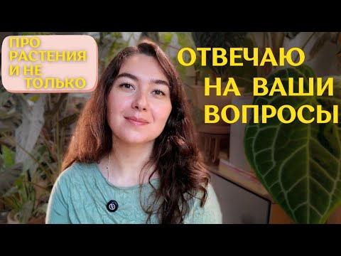 Видео: предстоящий ПЕРЕЕЗД | цветочное ВЫГОРАНИЕ | СКАНДАЛЫ и ВРЕДИТЕЛИ 🪴