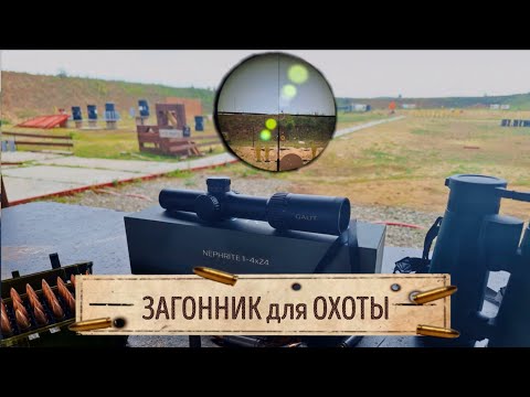 Видео: Лучший оптический прицел из недорогих! Загонный прицел Gaut Nephrite 1-4x24