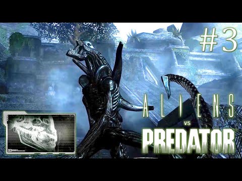 Видео: Aliens versus Predator 2010 // За чужого // Часть 3