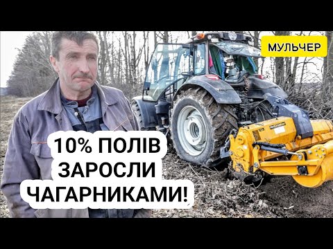 Видео: Розчищаємо лісопосадки! Звільнили сотні гектар! Valtra T235 із мульчером. Зекономили 4000€ на оранці