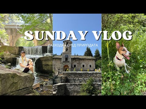 Видео: МЪРЗЕЛИВА НЕДЕЛНА РАЗХОДКА ДО СЕЛО СИТОВО.