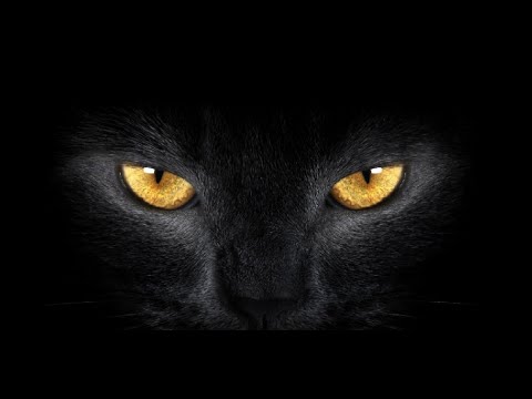 Видео: SnowRunner переделка брёвна легче количество мест в лесовозе