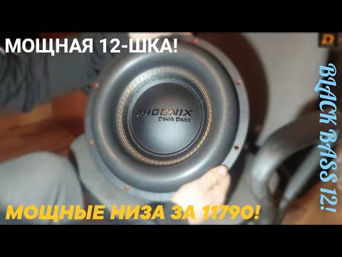 Видео: Phoenix Black Bass 12! ВЕТЕР С 1Х12! МОЩНЫЕ НИЗА!) ОБЗОР!