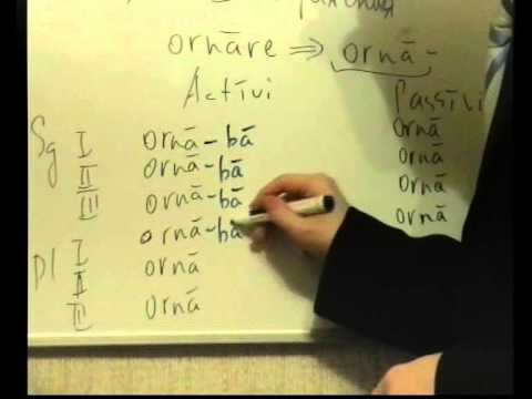 Видео: Урок 15. Латинский Imperfectum indicativi.avi