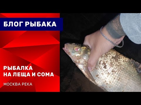 Видео: Рыбалка на леща. Поймали сома. Москва река, Жуковский.