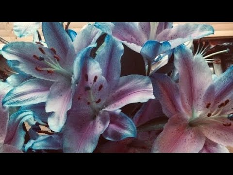 Видео: СЛЕДУЮЩИЙ В ЛЮБВИ 🦋 ВЫБЕРИТЕ КАРТУ