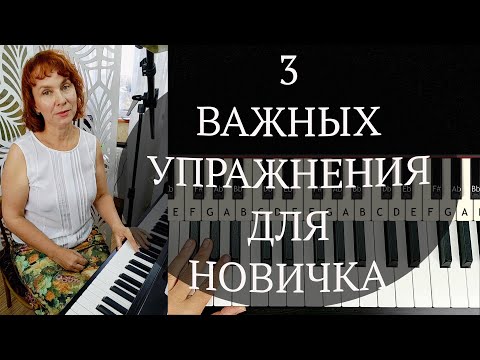 Видео: 3 Важных Упражнения для Новичка на Фортепиано Легко