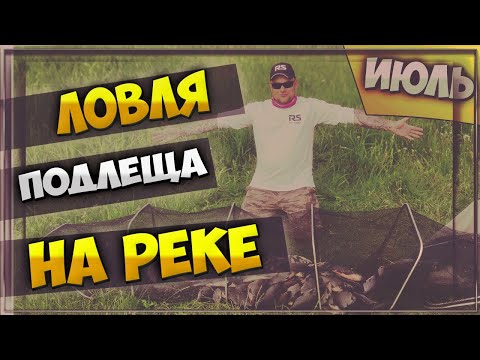 Видео: Такого клева я не ожидал!!!.Ловля подлещика на реке.