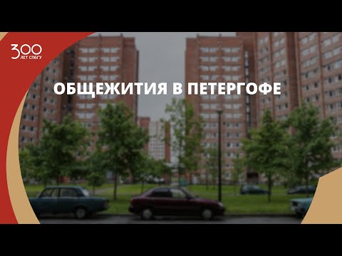 Видео: Общежития в Петергофе