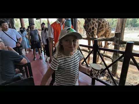Видео: Обзор отеля Melia Vinpearl Phu Quoc Banka Travel Фукуок
