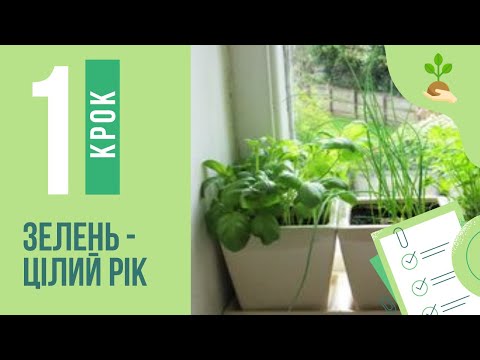 Видео: Зелень - цілий рік. Крок1. Мікрозелень: докладно для тих, хто робить це вперше (або ще не робить)))