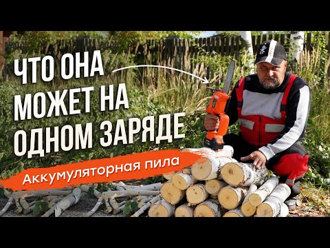 Видео: Обзор аккумуляторной пилы DAEWOO DACS 821Li