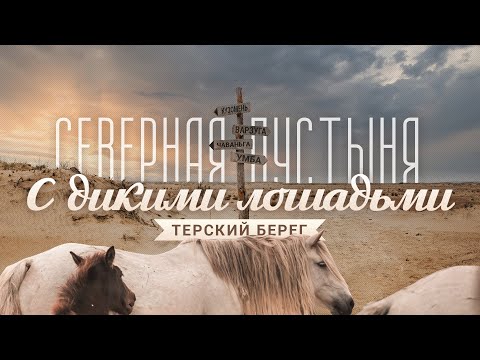 Видео: Терский берег: откуда пустыня на крайнем севере? Кузоменьские пески, поморы и дикие лошади