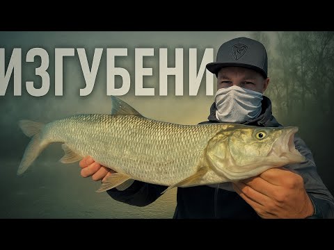 Видео: Дунав ни погълна – дива природа, мъгла и екшън без край!
