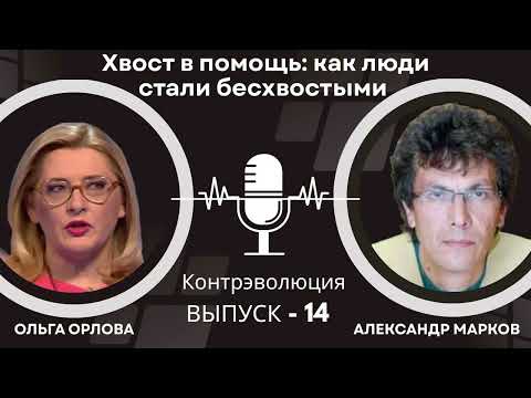 Видео: Хвост в помощь: как люди стали бесхвостыми и почему нам было бы неплохо его вернуть