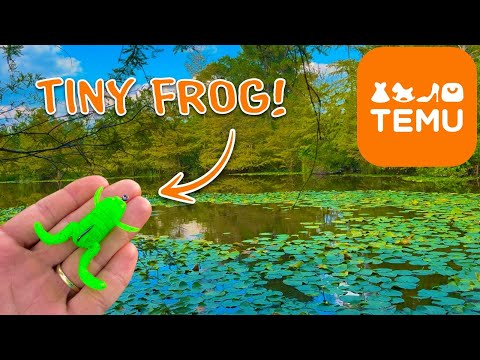 Видео: Будут ли крошечные приманки Temu ДЕЙСТВИТЕЛЬНО ловить рыбу? (Микрорыбалка Temu для ловли нескольк...