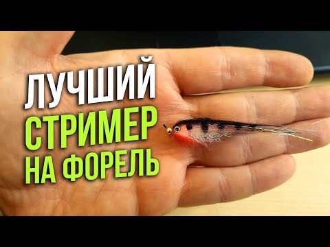 Видео: ВЯЖЕМ - ЛОВИМ! На что всегда ловится форель? Самый уловистый стример на некрупного  хищника!