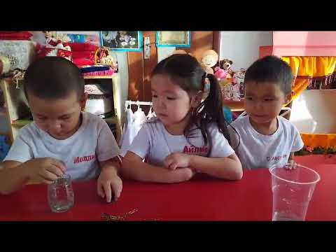 Видео: Түрлі дамытушы ойындар