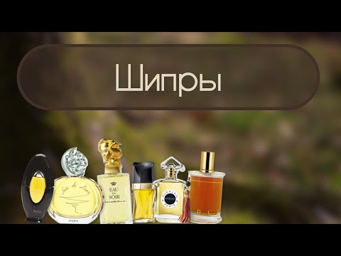 Видео: ИЗУЧАЕМ ШИПРОВЫЕ АРОМАТЫ 🧐