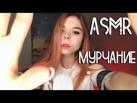 Видео: АСМР мурчание 😻 и визуальные триггеры для сна | ASMR kitten purr and visual triggers