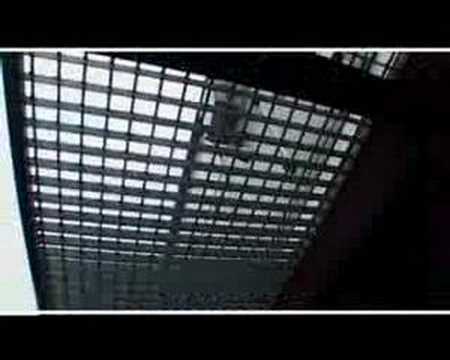 Видео: Чырвоным па Белым (ЧпБ) - Крывавы Сакавік