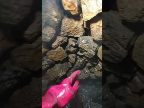 Видео: Село Гигинци почистване на кладенец резултат