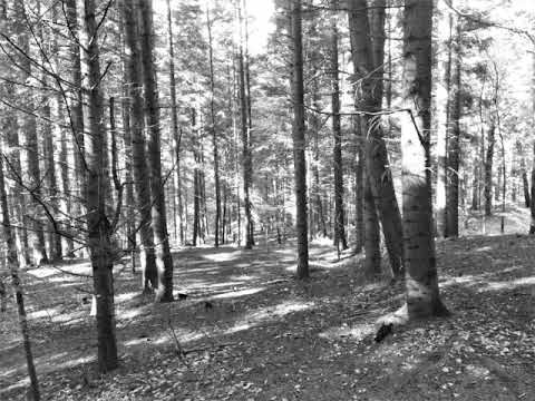 Видео: Дурной Вкус - В окнах напротив (Slowed+Reverb)