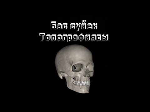 Видео: Бас сүйек. Бас сүйек топографиясы. Ми сауыты. Бет сауыты. Бас сүйек қосылыстары.