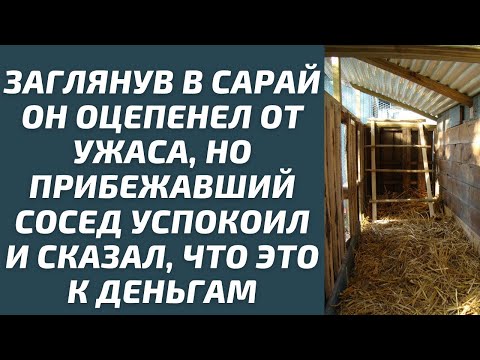 Видео: Заглянув в сарай, он оцепенел от ужаса, но прибежавший сосед успокоил и сказал, что это к деньгам