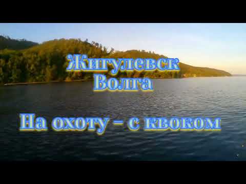 Видео: Сом на квок. 20 кг. Достойный экземпляр!