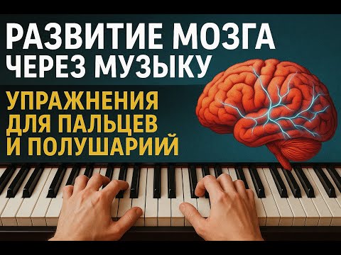 Видео: Развитие мозга через музыку: упражнения для пальцев и полушарий.