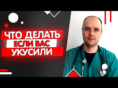 Видео: Укусила собака (кошка) как не заболеть бешенством