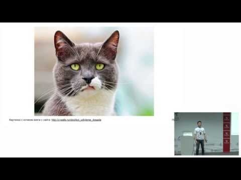 Видео: Фронтенд без багов. Путь фичи: от идеи через разработку к продакшену