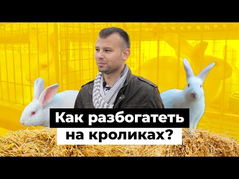 Видео: Один на миллион. Как единственный фермер-кроликовод Татарстана строит бизнес на селе