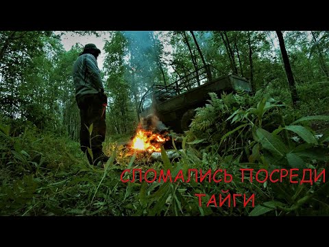 Видео: КОРМИМ КОМАРОВ В ТАЙГЕ, ОТОРВАЛО КОЛЕСО. БЕСЕДКА ПОЧТИ ГОТОВА.