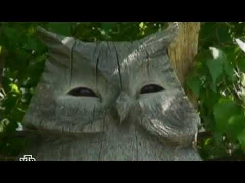 Видео: Сказки Баженова (НТВ 2008-11-08) - Гигант Мысли