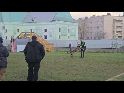 Видео: Большой Русский Ринг Пушкин 18.10.2025 группа Б участник №4