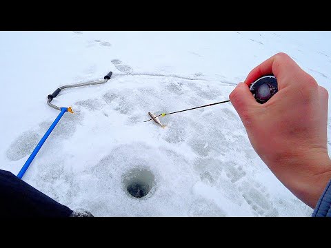 Видео: ПЛОТВА БЕЗ НАСАДКИ! Ловля на безмотылку со сменой проводок. Рыбалка со льда 2021! Зимняя рыбалка