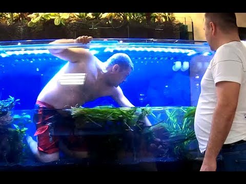 Видео: Огромный аквариум на 2000л для самой капризной рыбы в мире