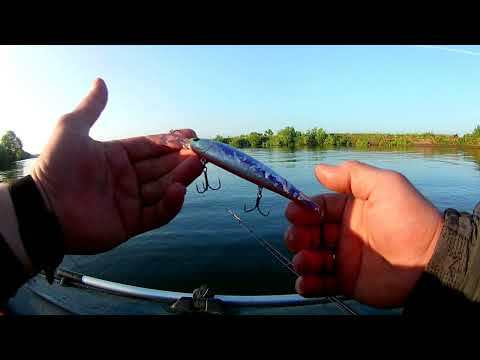 Видео: Рыбалка троллингом на Москва реке.  Воскресенск июль 2023