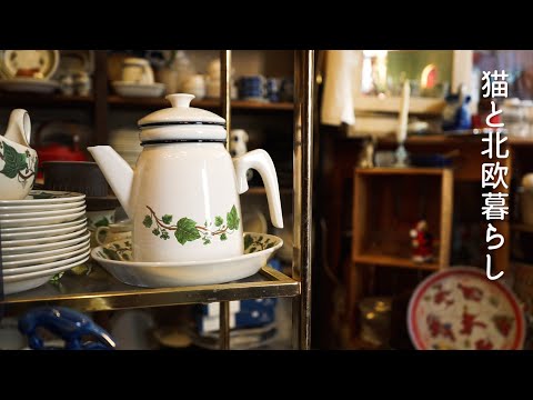 Видео: Скандинавская жизнь 🌿 Осенний день, чтобы отведать супы и антиквариат в Швеции.