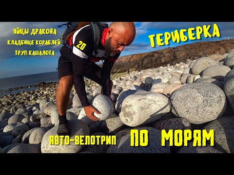 Видео: Путешествие К СЕВЕРНЫМ МОРЯМ 20. На авто и велосипеде. Териберка - природный парк.
