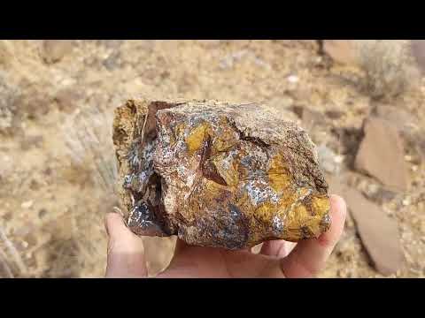 Видео: Каменные поиски в Центральном Орегоне: грандиозное выдергивание конечностей, осень 2023 г. Охота ...