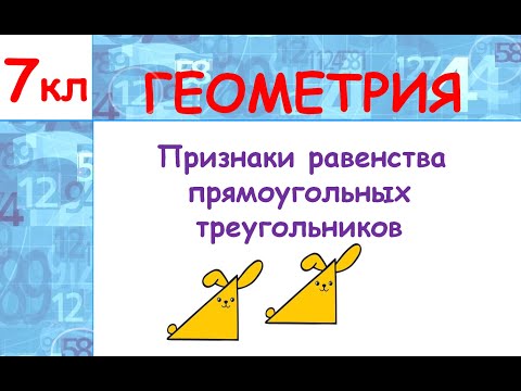 Видео: 7 класс. Геометрия. Признаки равенства прямоугольных треугольников