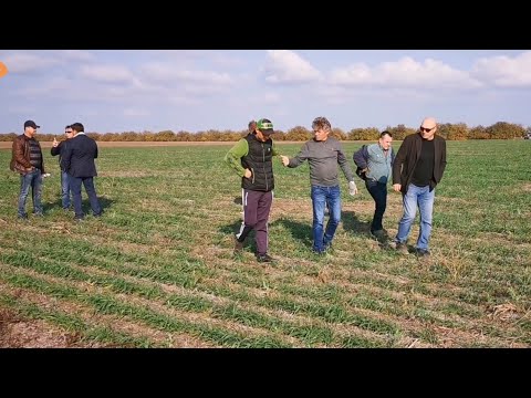 Видео: 27.10.2020 В гостях у Smart No-till! Часть1. Пшеница