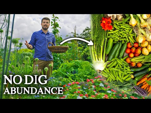 Видео: Экскурсия по прекрасному пермакультурному огороду | БОЛЬШОЙ урожай июля