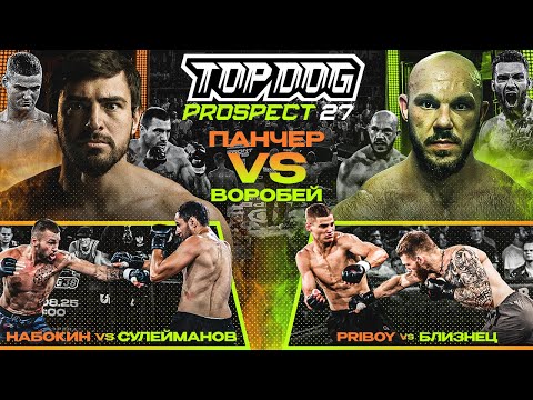 Видео: TOP DOG: PROSPECT 27, Рязань | Панчер VS Воробей, Набокин VS Сулейманов, Priboy VS Близнец