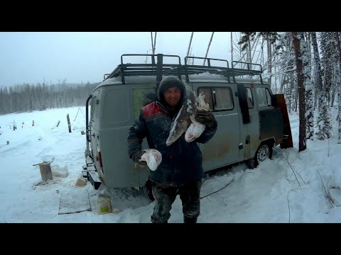 Видео: НОВОГОДНИЕ КАНИКУЛЫ В "БУХАНКЕ"!!ЭТИ ЩУКИ РВУТ ВСЕ СНАСТИ!!Часть вторая!